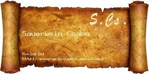 Sauerwein Csaba névjegykártya